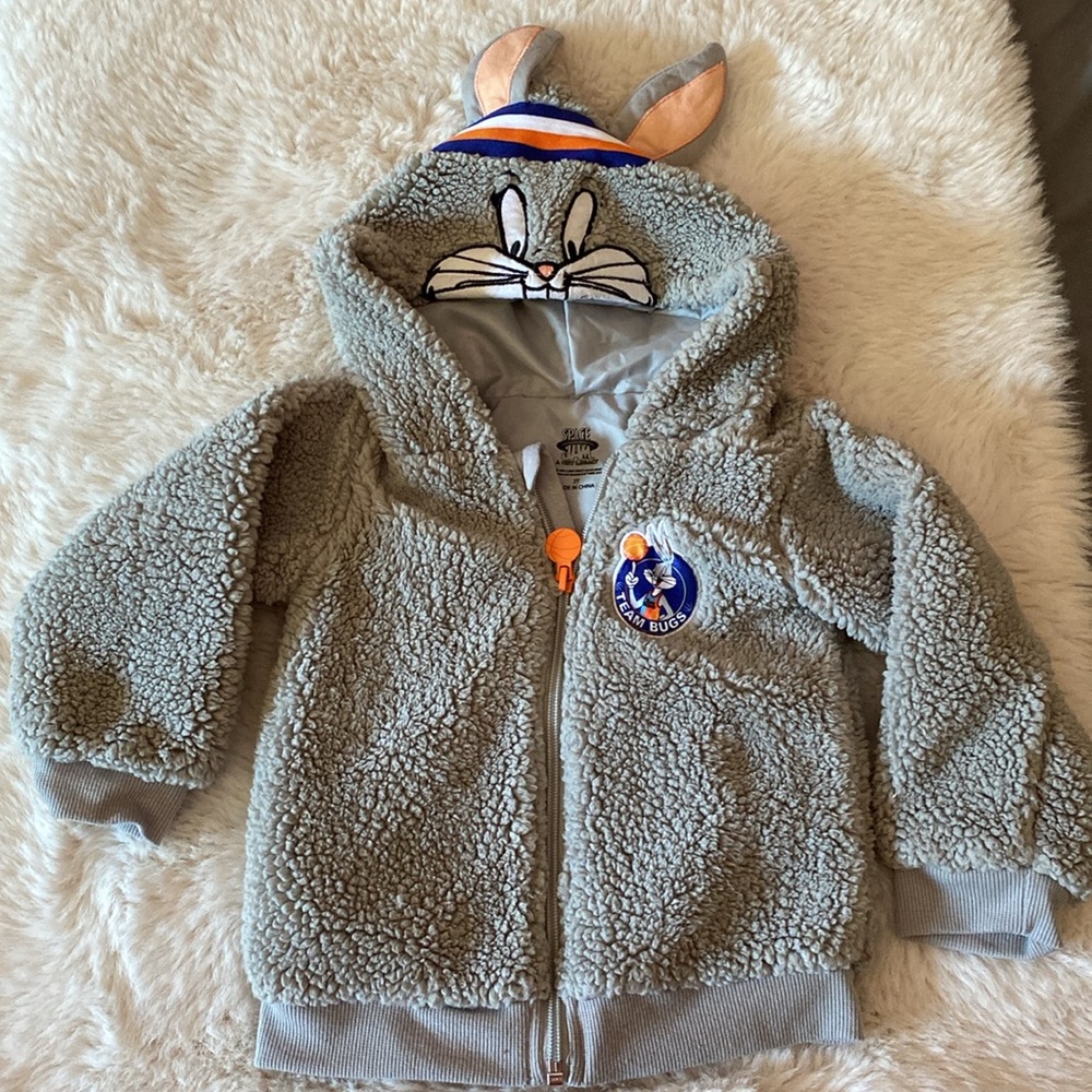 Space Jam sweater size 2T